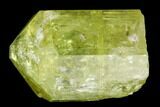 Bag Of Five Yellow Apatite Crystals ( - ) - Morocco #108369-1